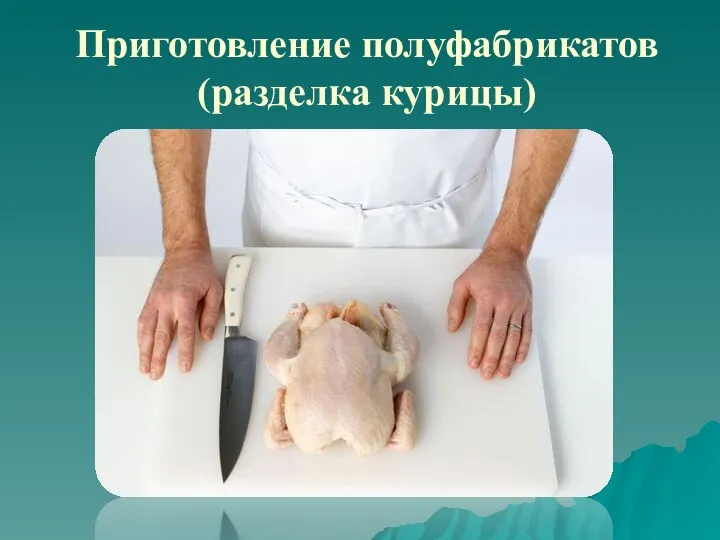 Приготовление полуфабрикатов (разделка курицы)