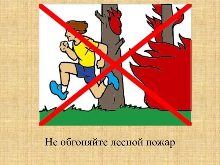 Не обгоняйте лесной пожар