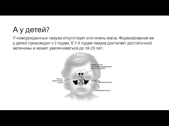 А у детей? У новорожденных пазуха отсутствует или очень мала. Формирование ее