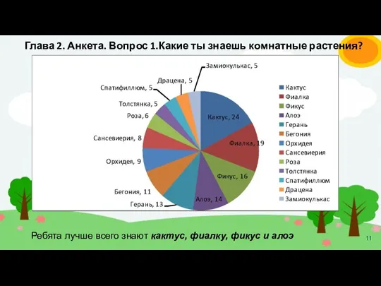 Глава 2. Анкета. Вопрос 1.Какие ты знаешь комнатные растения? Ребята лучше всего