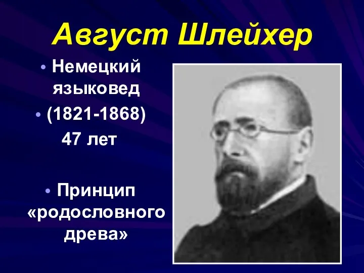 Август Шлейхер Немецкий языковед (1821-1868) 47 лет Принцип «родословного древа»