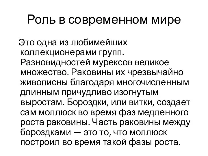 Роль в современном мире Это одна из любимейших коллекционерами групп. Разновидностей мурексов