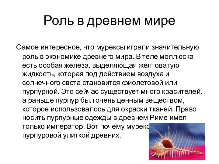 Роль в древнем мире Самое интересное, что мурексы играли значительную роль в