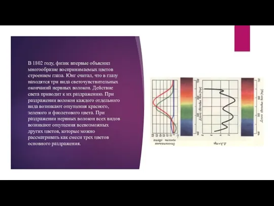 В 1802 году, физик впервые объяснил многообразие воспринимаемых цветов строением глаза. Юнг