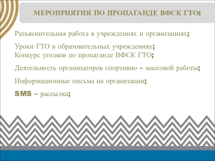 МЕРОПРИЯТИЯ ПО ПРОПАГАНДЕ ВФСК ГТО: Разъяснительная работа в учреждениях и организациях; Уроки