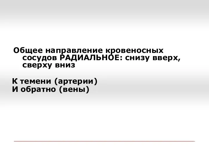 Общее направление кровеносных сосудов РАДИАЛЬНОЕ: снизу вверх, сверху вниз К темени (артерии) И обратно (вены)