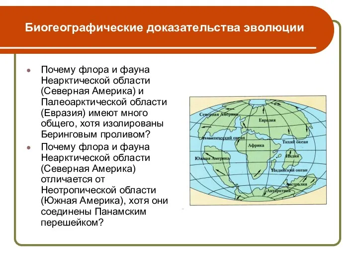 Биогеографические доказательства эволюции Почему флора и фауна Неарктической области (Северная Америка) и