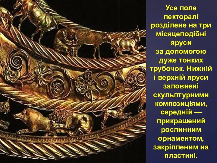 Усе поле пекторалі розділене на три місяцеподібні яруси за допомогою дуже тонких