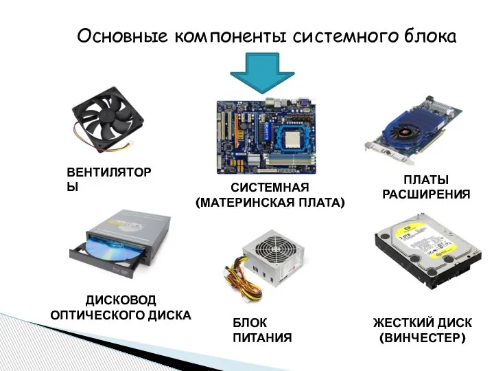 Основные компоненты системного блока СИСТЕМНАЯ (МАТЕРИНСКАЯ ПЛАТА) ЖЕСТКИЙ ДИСК (ВИНЧЕСТЕР) БЛОК ПИТАНИЯ