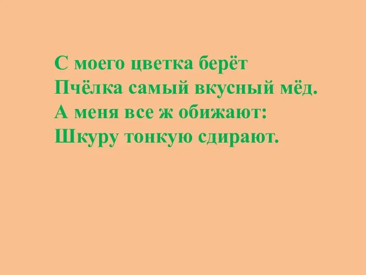 С моего цветка берёт Пчёлка самый вкусный мёд. А меня все ж обижают: Шкуру тонкую сдирают.