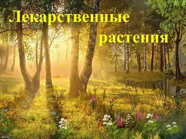 Лекарственные растения