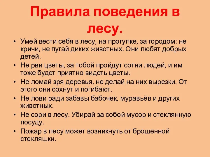 Правила поведения в лесу. Умей вести себя в лесу, на прогулке, за