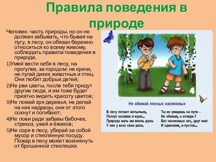 Правила поведения в природе Человек- часть природы, но он не должен забывать,