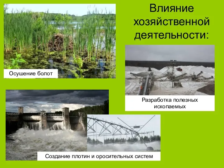 Влияние хозяйственной деятельности: Осушение болот Создание плотин и оросительных систем Разработка полезных ископаемых