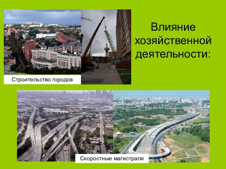Влияние хозяйственной деятельности: Строительство городов Скоростные магистрали