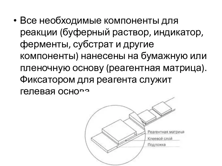 Все необходимые компоненты для реакции (буферный раствор, индикатор, ферменты, субстрат и другие