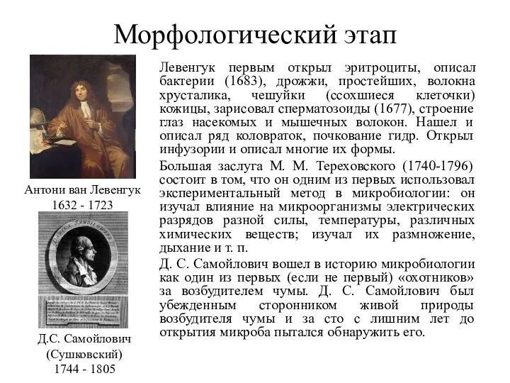 Морфологический этап Левенгук первым открыл эритроциты, описал бактерии (1683), дрожжи, простейших, волокна