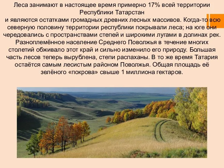 Леса занимают в настоящее время примерно 17% всей территории Республики Татарстан и