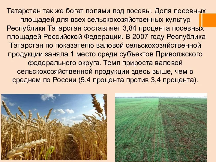 Татарстан так же богат полями под посевы. Доля посевных площадей для всех
