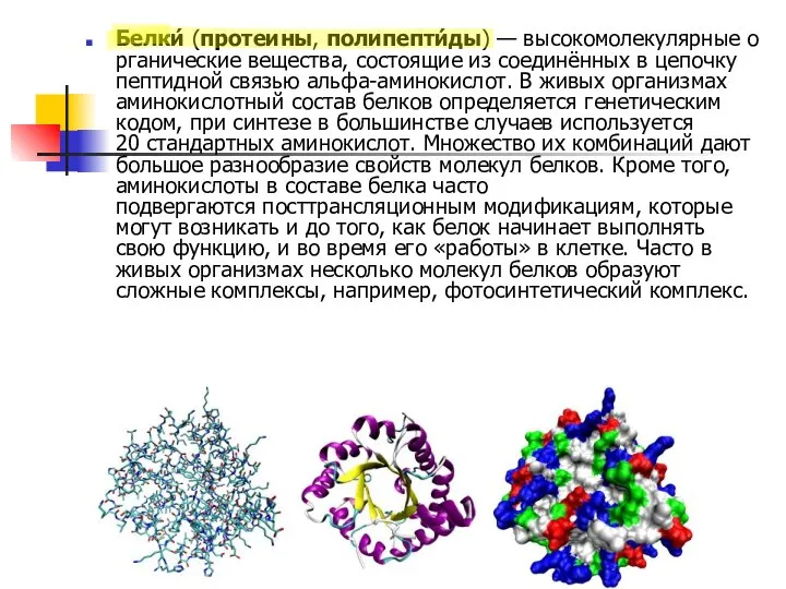 Белки́ (протеины, полипепти́ды) — высокомолекулярные органические вещества, состоящие из соединённых в цепочку