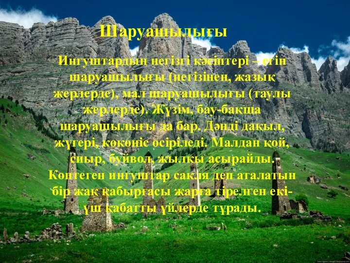 Ингуштардың негізгі кәсіптері – егін шаруашылығы (негізінен, жазық жерлерде), мал шаруашылығы (таулы