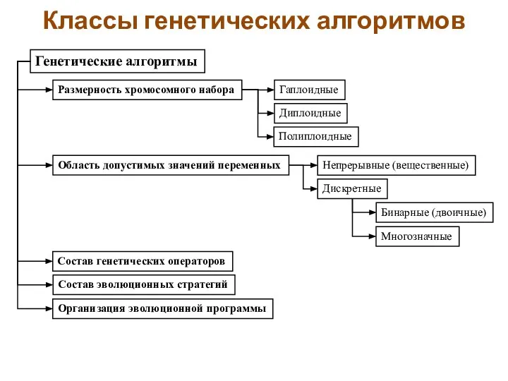 Классы генетических алгоритмов Генетические алгоритмы Гаплоидные Размерность хромосомного набора Диплоидные Полиплоидные Область