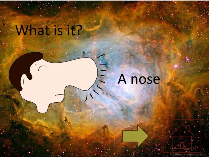 What is it? A nose