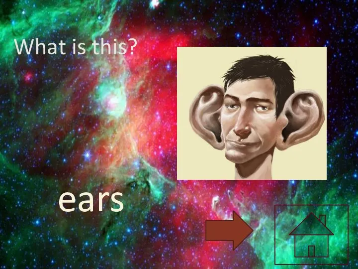What is this? ears