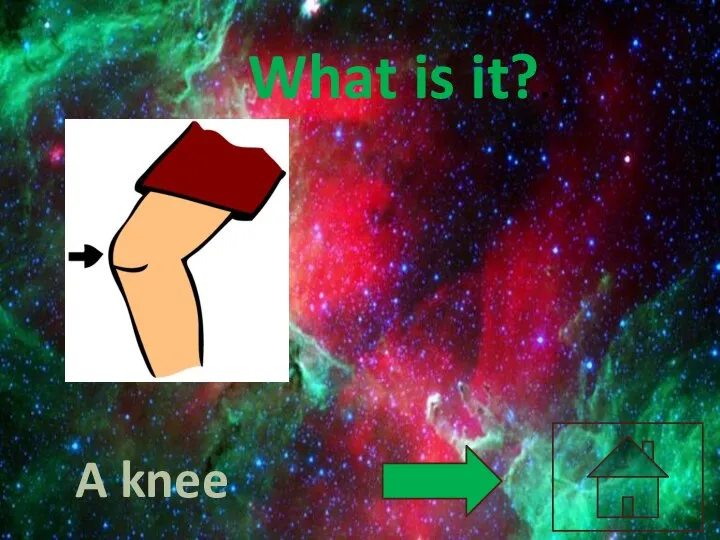 What is it?. A knee