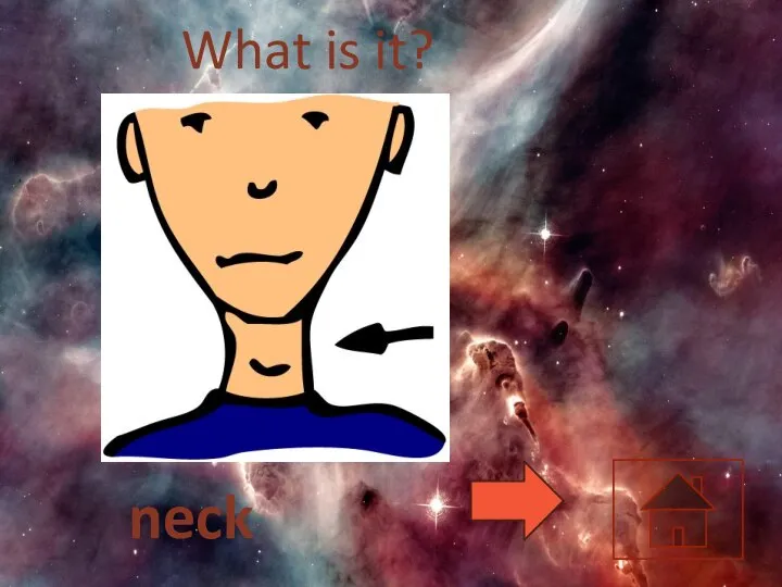 What is it? neck