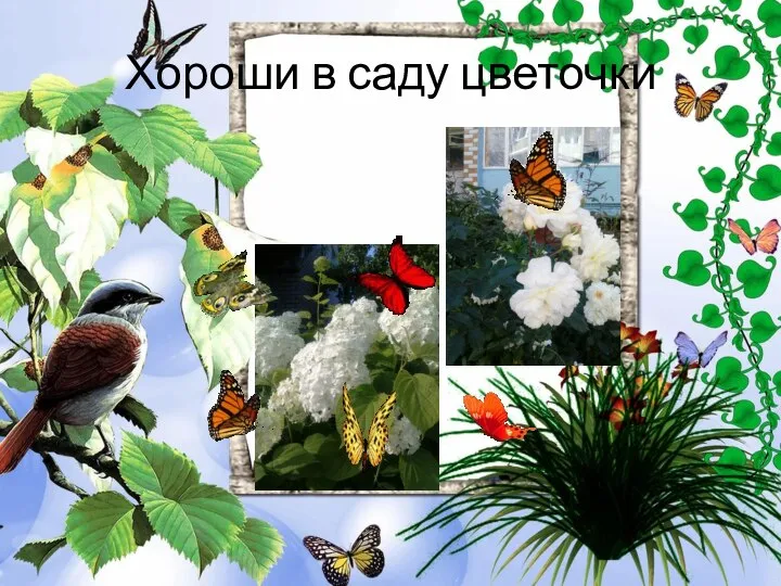 Хороши в саду цветочки