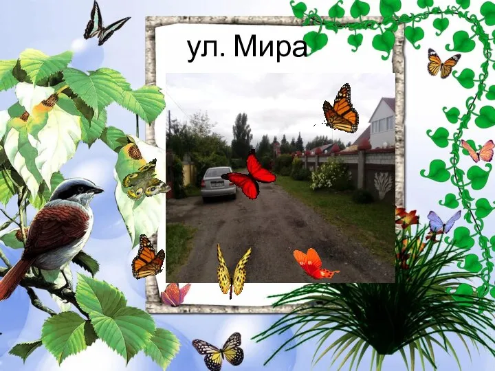 ул. Мира