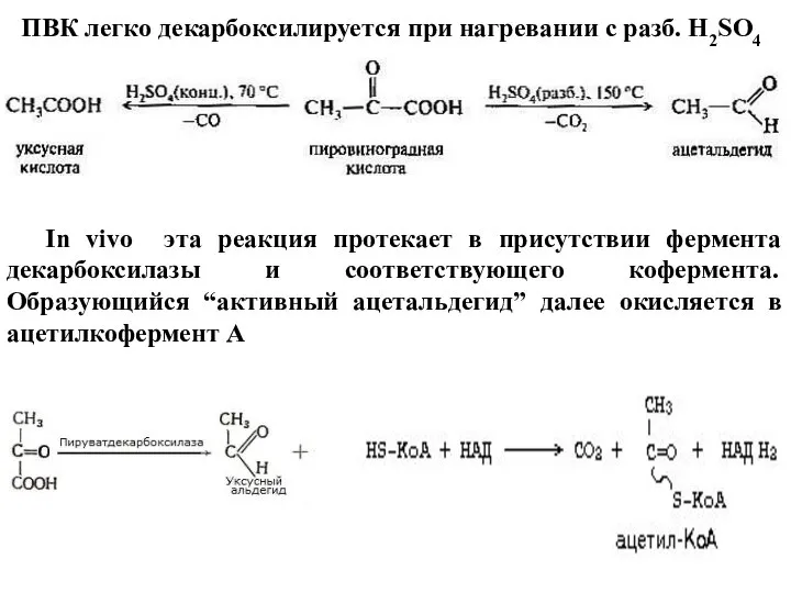 ПВК легко декарбоксилируется при нагревании с разб. Н2SO4 In vivo эта реакция