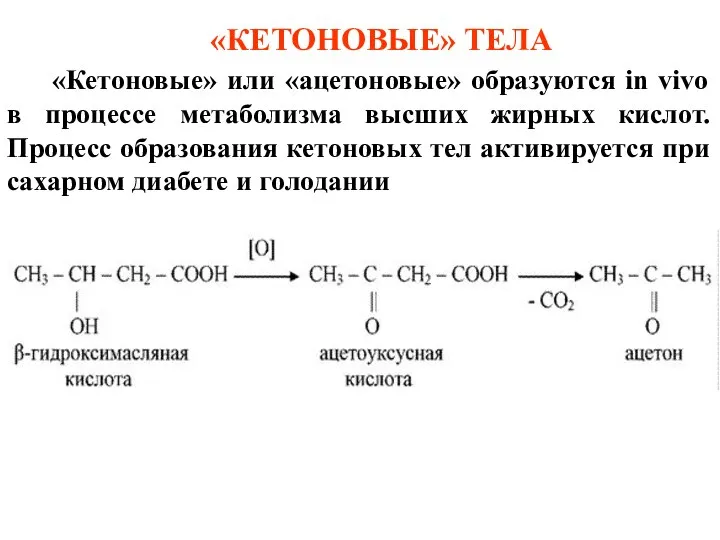 «КЕТОНОВЫЕ» ТЕЛА «Кетоновые» или «ацетоновые» образуются in vivo в процессе метаболизма высших