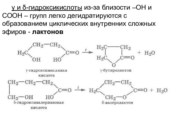 γ и δ-гидроксикислоты из-за близости –ОН и СООН – групп легко дегидратируются