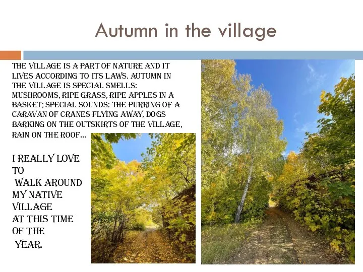 Autumn in the village The village is a part of nature and