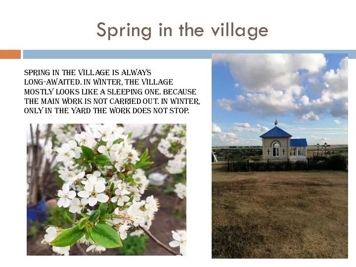 Spring in the village Spring in the village is always long-awaited. In