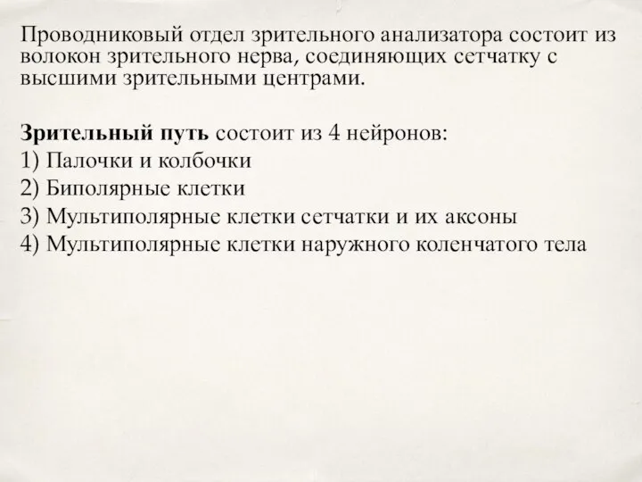 Проводниковый отдел зрительного анализатора состоит из волокон зрительного нерва, соединяющих сетчатку с