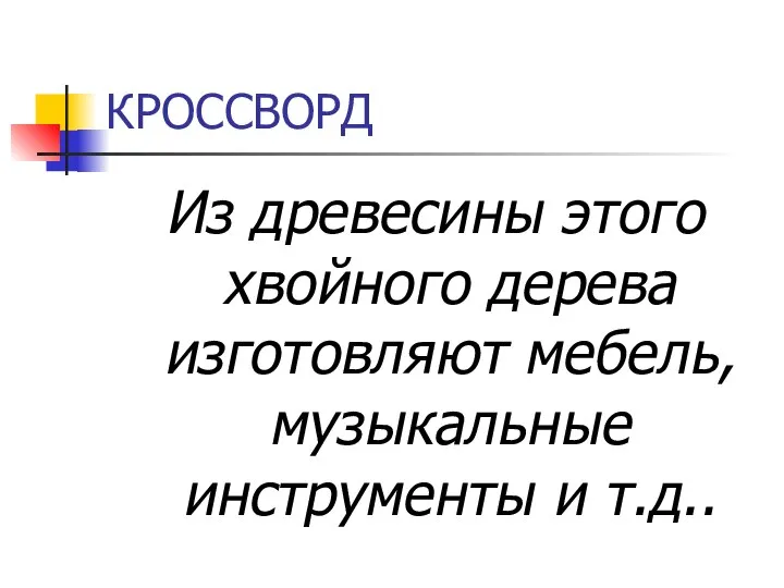 КРОССВОРД Из древесины этого хвойного дерева изготовляют мебель, музыкальные инструменты и т.д..