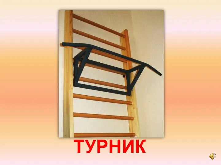 ТУРНИК