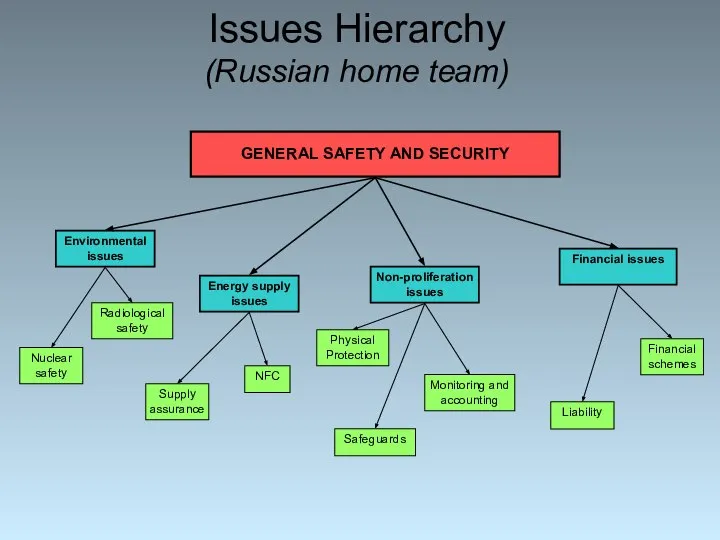 Issues Hierarchy (Russian home team)