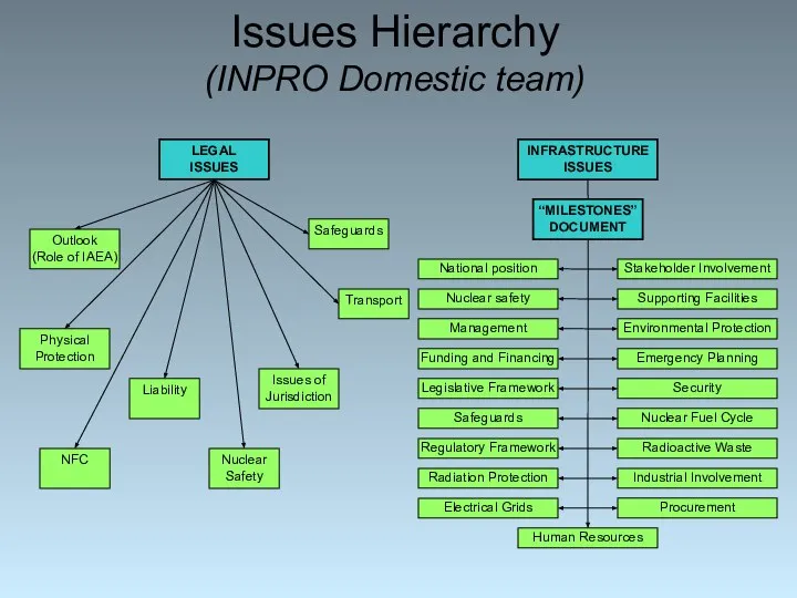 Issues Hierarchy (INPRO Domestic team)