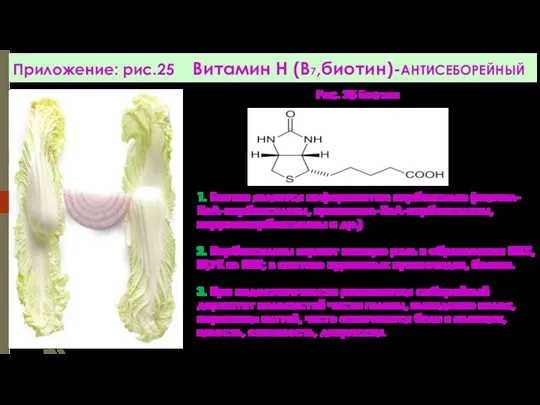 Приложение: рис.25 Витамин Н (В7,биотин)-АНТИСЕБОРЕЙНЫЙ Рис. 25 Биотин 1. Биотин является коферментом