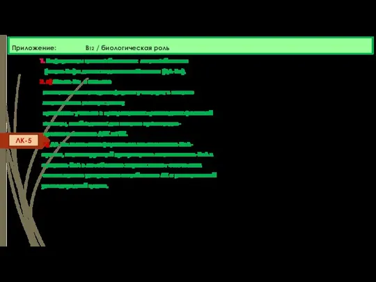 Приложение: В12 / биологическая роль 1. Коферменты цианокобаламина: метилкобаламин (метил-В12) и дезоксиаденозилкобаламин