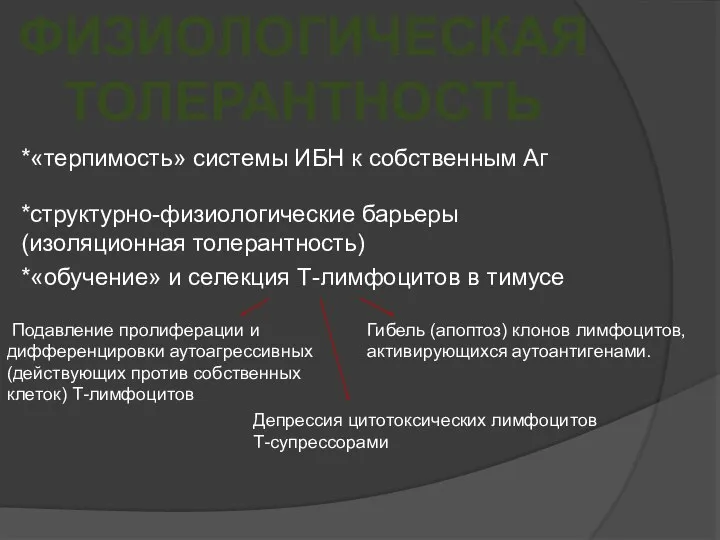 ФИЗИОЛОГИЧЕСКАЯ ТОЛЕРАНТНОСТЬ *«терпимость» системы ИБН к собственным Аг *структурно-физиологические барьеры(изоляционная толерантность) *«обучение»