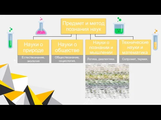 Технические науки и математика Естествознание, экология Естествознание, экология Сопромат, термех. Логика, диалектика. Обществознание, социология.