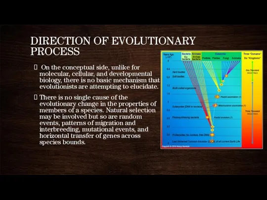 DIRECTION OF EVOLUTIONARY PROCESS On the conceptual side, unlike for molecular, cellular,