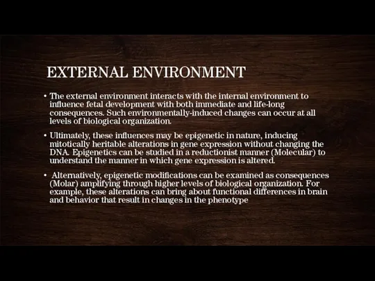 EXTERNAL ENVIRONMENT The external environment interacts with the internal environment to influence