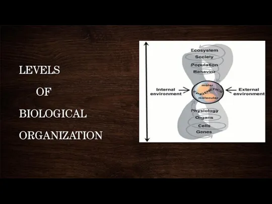 LEVELS OF BIOLOGICAL ORGANIZATION