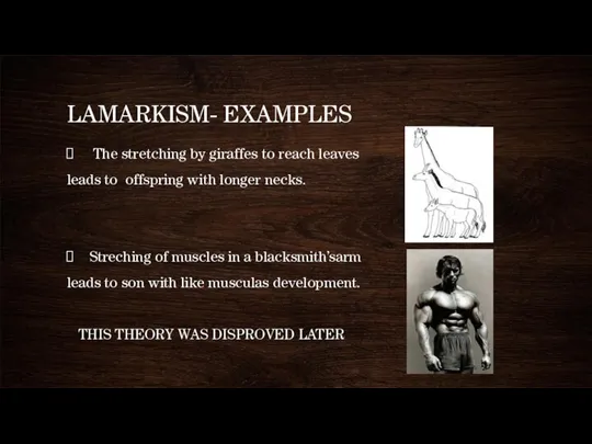 LAMARKISM- EXAMPLES The stretching by giraffes to reach leaves leads to offspring